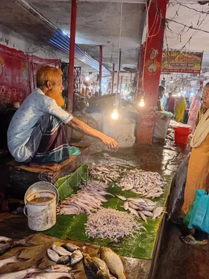 Fish Shop Rent, Khulna Newmarket Bazar.