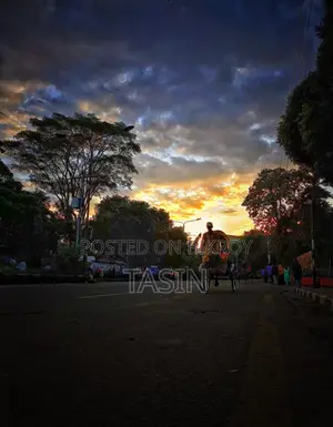 নান্দনিক আত্মা, সিনেমাটিক গল্প