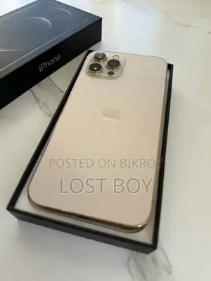 অ্যাপল আইফোন ১২ প্রো ম্যাক্স ২৫৬ জিবি গোল্ড