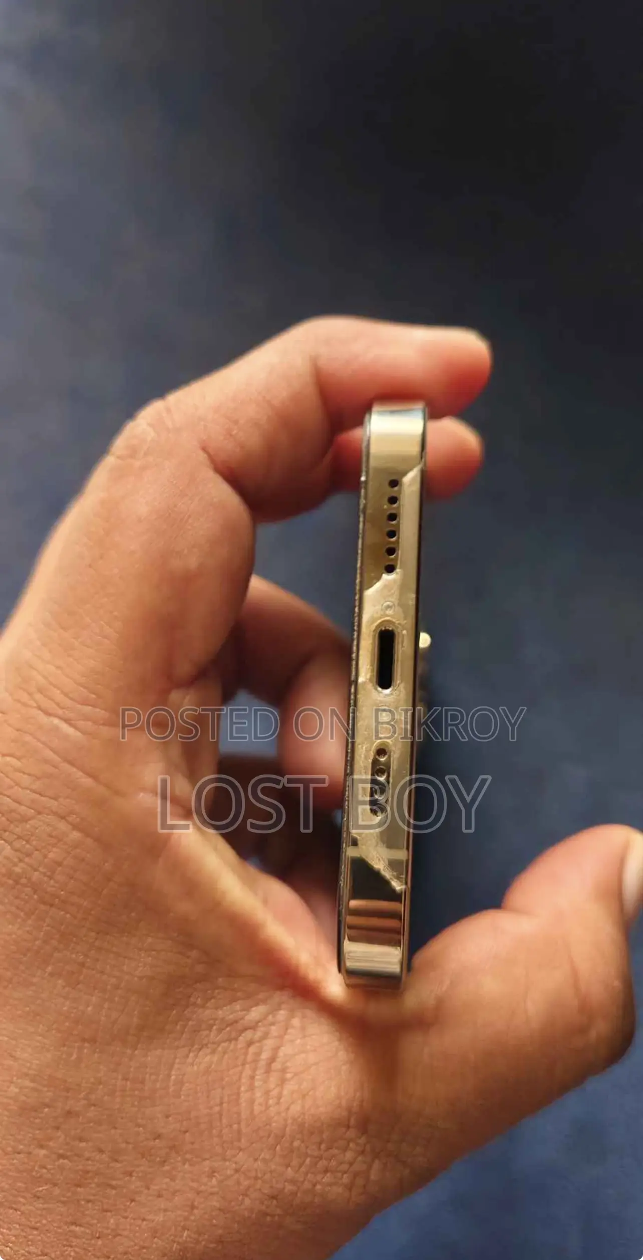 অ্যাপল আইফোন ১২ প্রো ম্যাক্স ২৫৬ জিবি গোল্ড