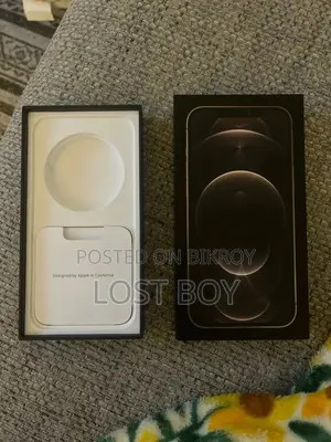 অ্যাপল আইফোন ১২ প্রো ম্যাক্স ২৫৬ জিবি গোল্ড