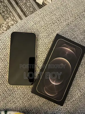 অ্যাপল আইফোন ১২ প্রো ম্যাক্স ২৫৬ জিবি গোল্ড