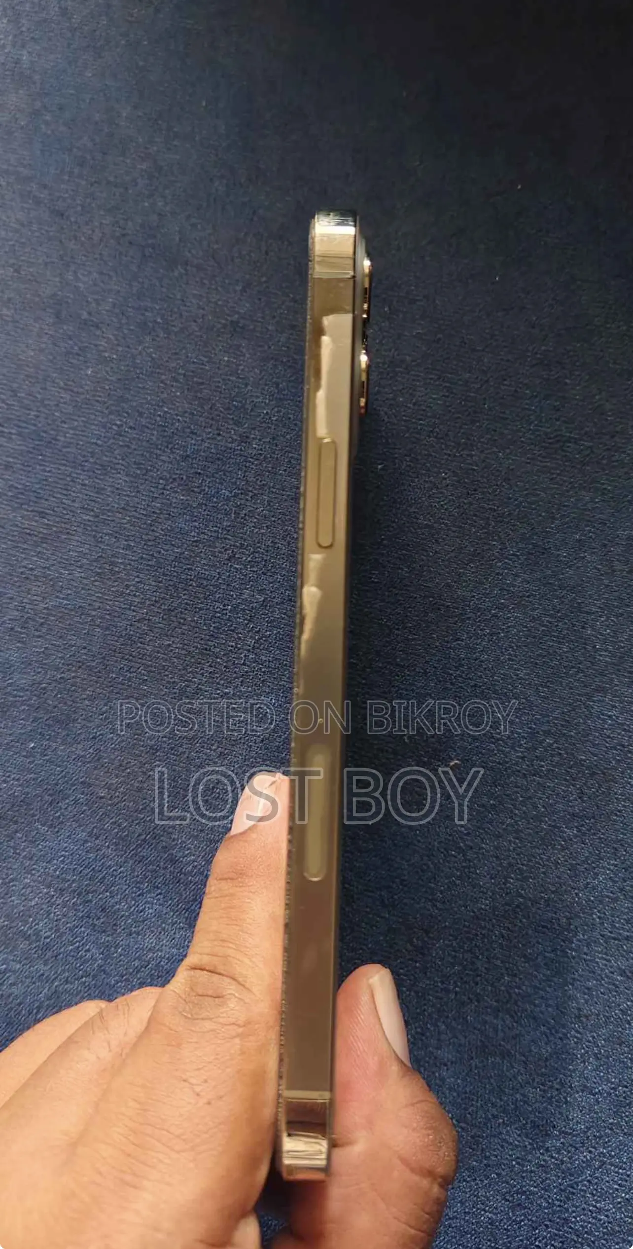 অ্যাপল আইফোন ১২ প্রো ম্যাক্স ২৫৬ জিবি গোল্ড