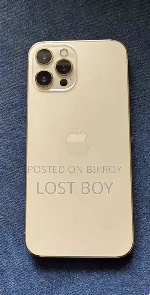 অ্যাপল আইফোন ১২ প্রো ম্যাক্স ২৫৬ জিবি গোল্ড