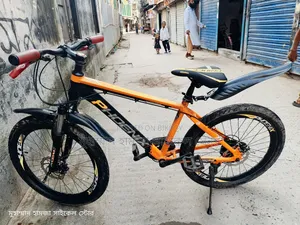 Phoenix 24 Size Alloy Body, Gear Cycle