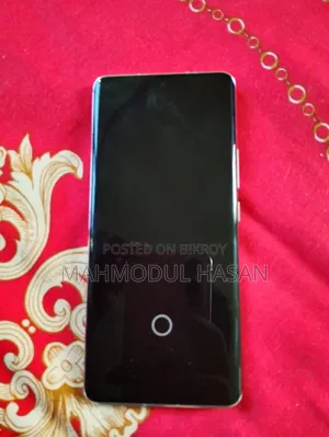 শিওমি ১৩ প্রো ২৫৬ জিবি ব্রোঞ্জ