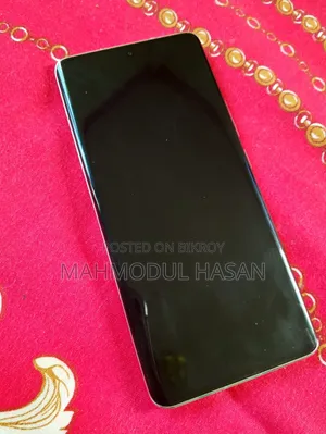 শিওমি ১৩ প্রো ২৫৬ জিবি ব্রোঞ্জ