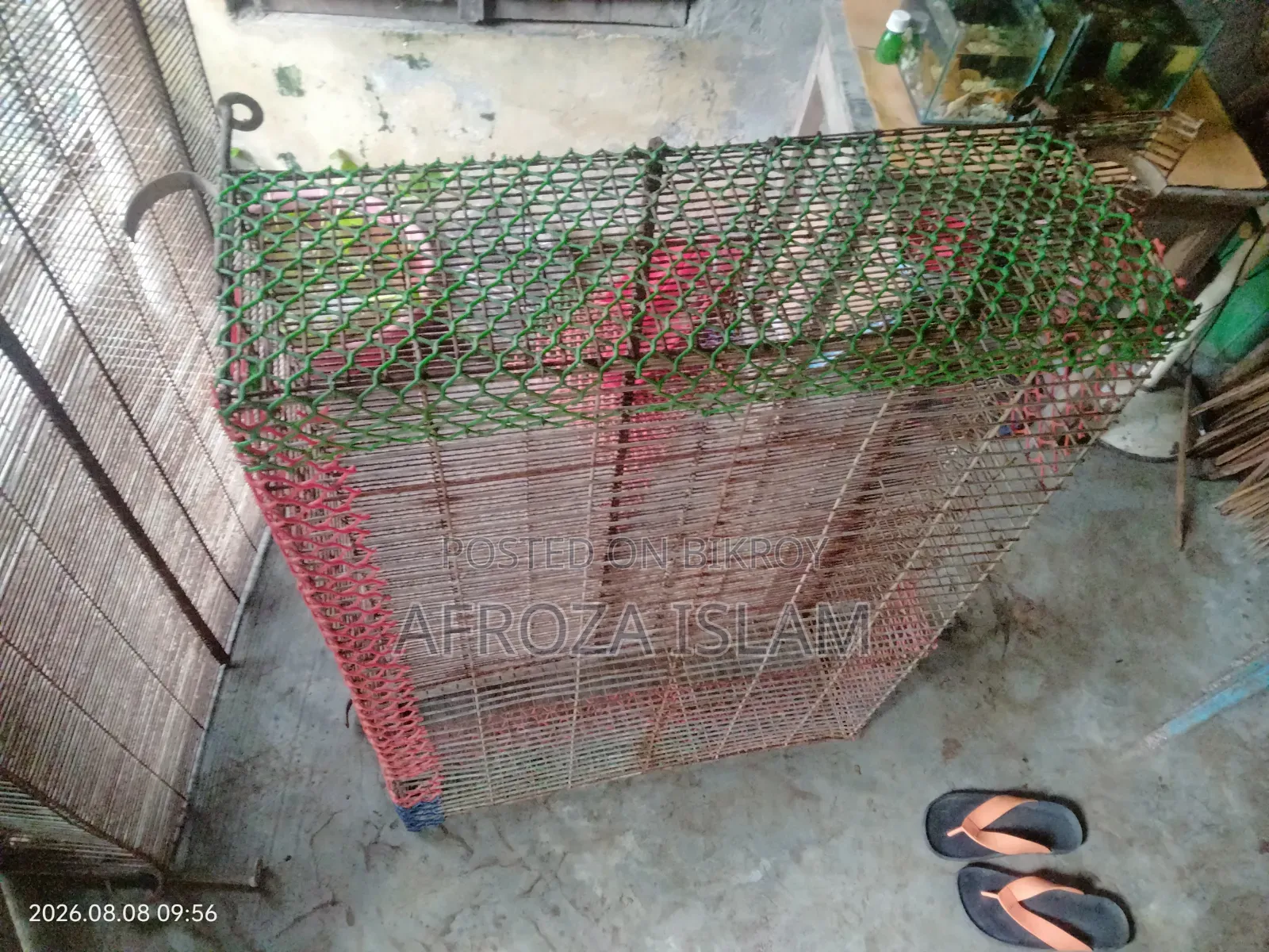 Quail Bird Cage
