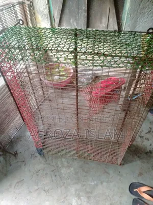 Quail Bird Cage