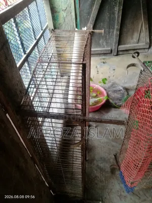 Quail Bird Cage