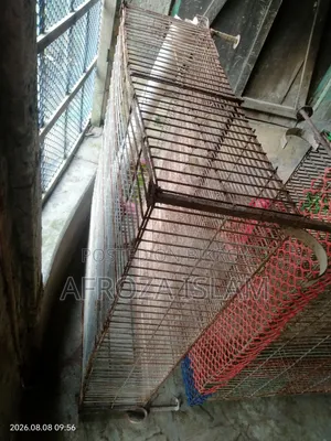 Quail Bird Cage