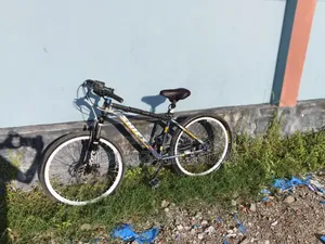 Bycycle Modify