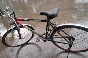 নন গিয়ার বাই সাইকেল (Non Gear Bicycle)