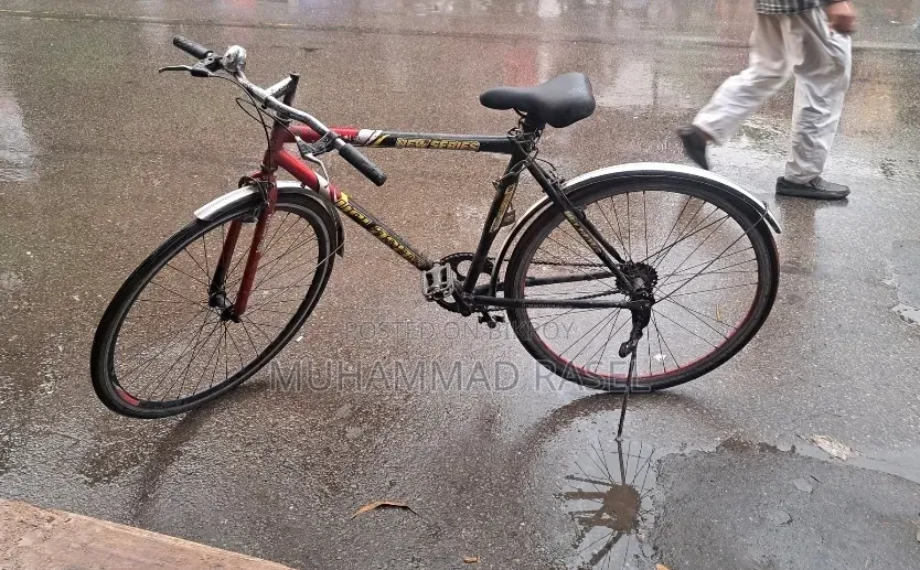 নন গিয়ার বাই সাইকেল (Non Gear Bicycle)