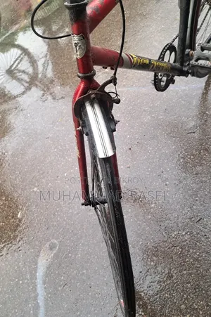 নন গিয়ার বাই সাইকেল (Non Gear Bicycle)
