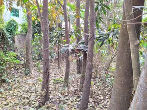 5 katha land for sale in Savar Rajashon, a wonderful place to build a house.