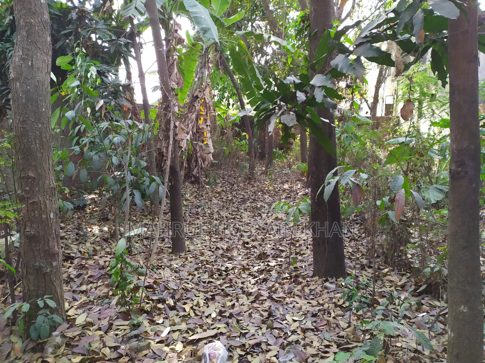5 katha land for sale in Savar Rajashon, a wonderful place to build a house.