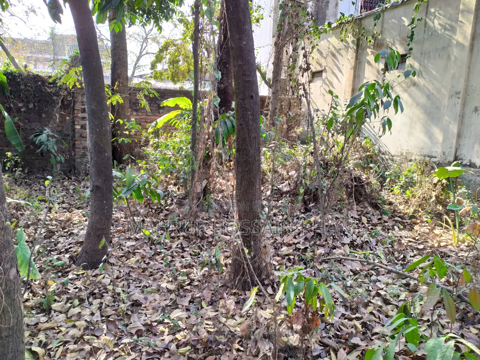 5 katha land for sale in Savar Rajashon, a wonderful place to build a house.