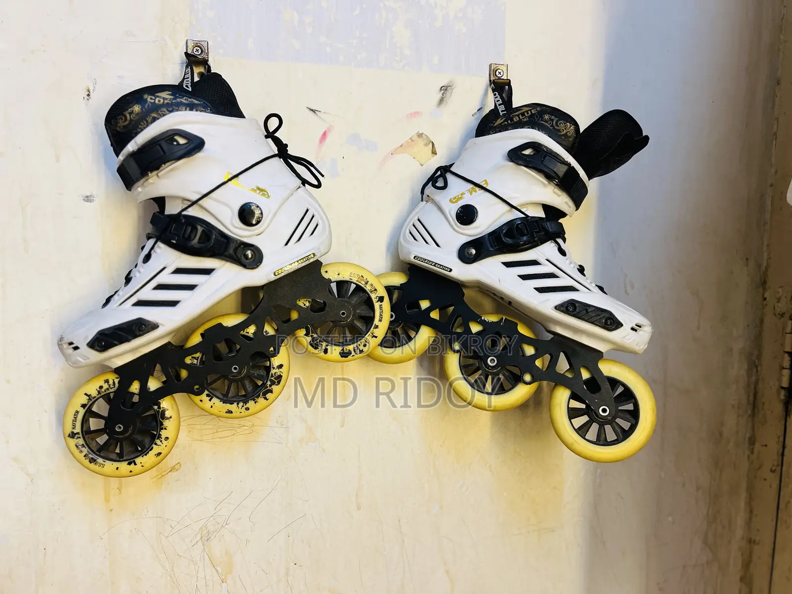 Skating Shoes