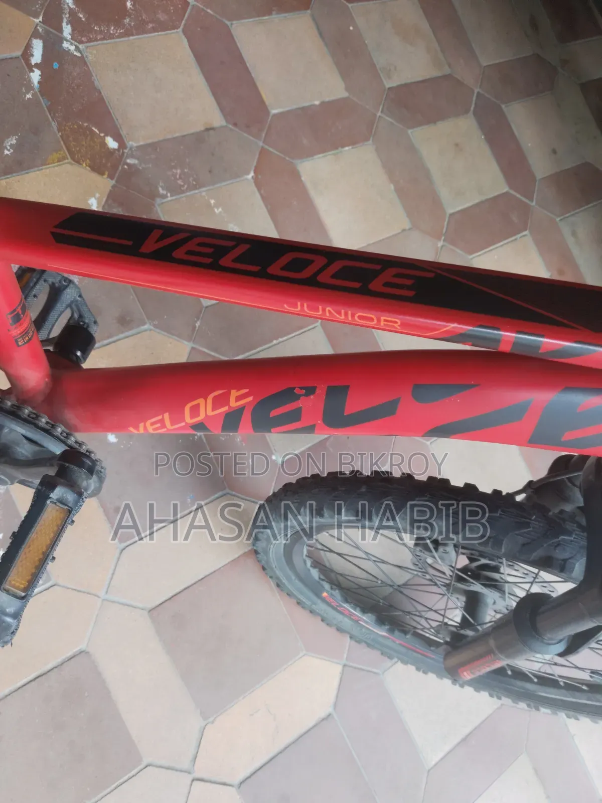 Veloce Cycle Junior