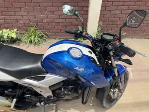 টিভিএস আপাচে ১৬০ ৪ভি ২০১৯ নীল