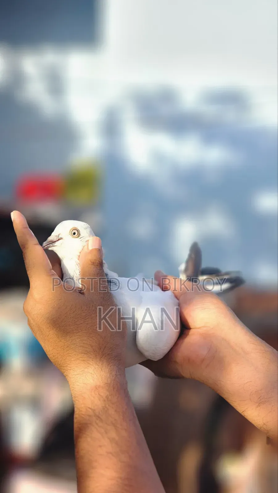 রানিং জোড়া