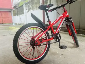 সাইক্লোন মাউন্টেন বাইক | ভালো কন্ডিশন।