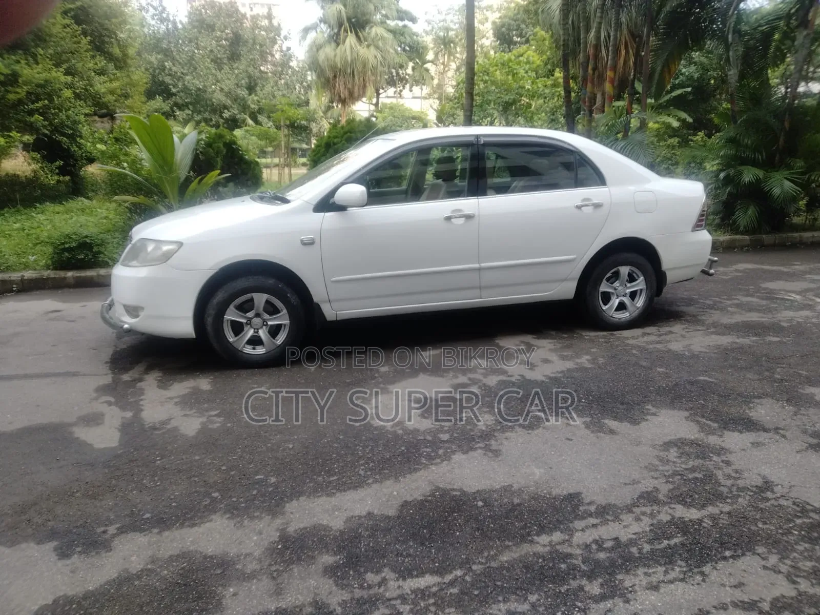 Toyota Corolla 2005 White