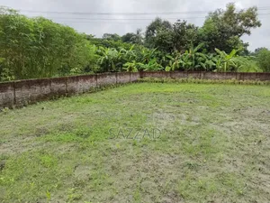 Land and Properties