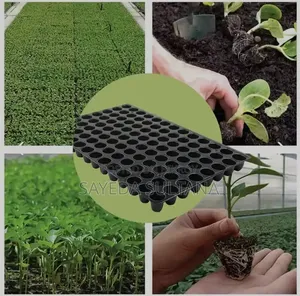 Nursery Seeding Tray (66 121 Holes) Best Quality