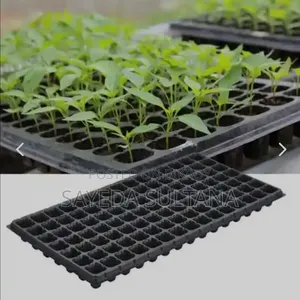 Nursery Seeding Tray (66 121 Holes) Best Quality