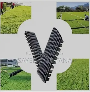 Nursery Seeding Tray (66 121 Holes) Best Quality