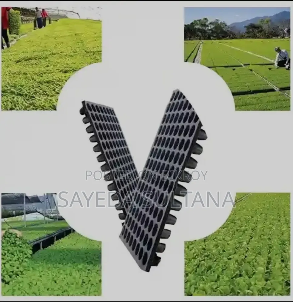 Nursery Seeding Tray (66 121 Holes) Best Quality