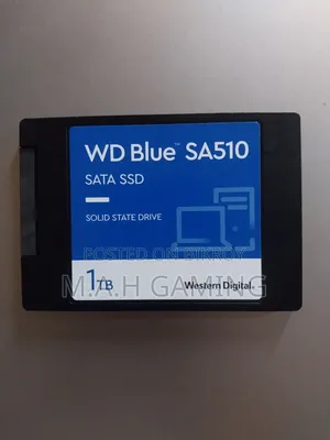 Wd SSD Blue