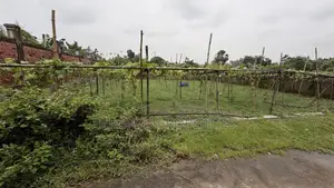 পূর্বাচল সেক্টর ১৭ এ ৫ কাঠার প্লট বিক্রয়ের জন্য