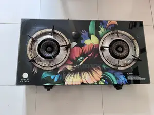 RFL Gas Stove