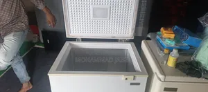 Singer Deep Freezer