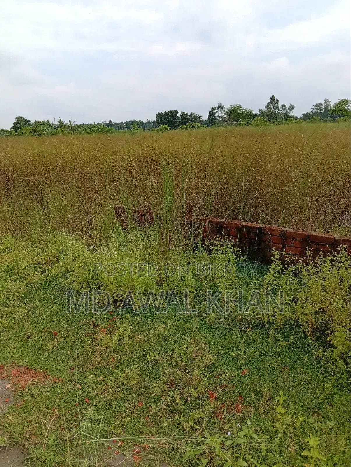 12 Katha Land Sell at Basundhara Block N Ext