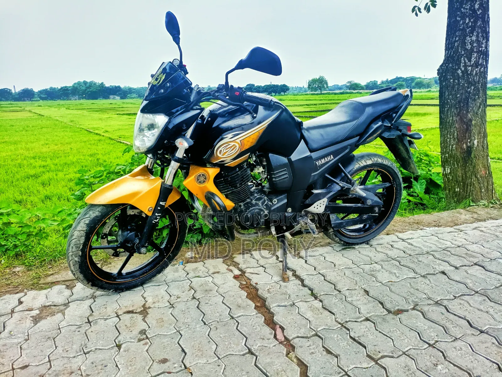 ইয়ামাহা এফজেড ২০১৩ কালো