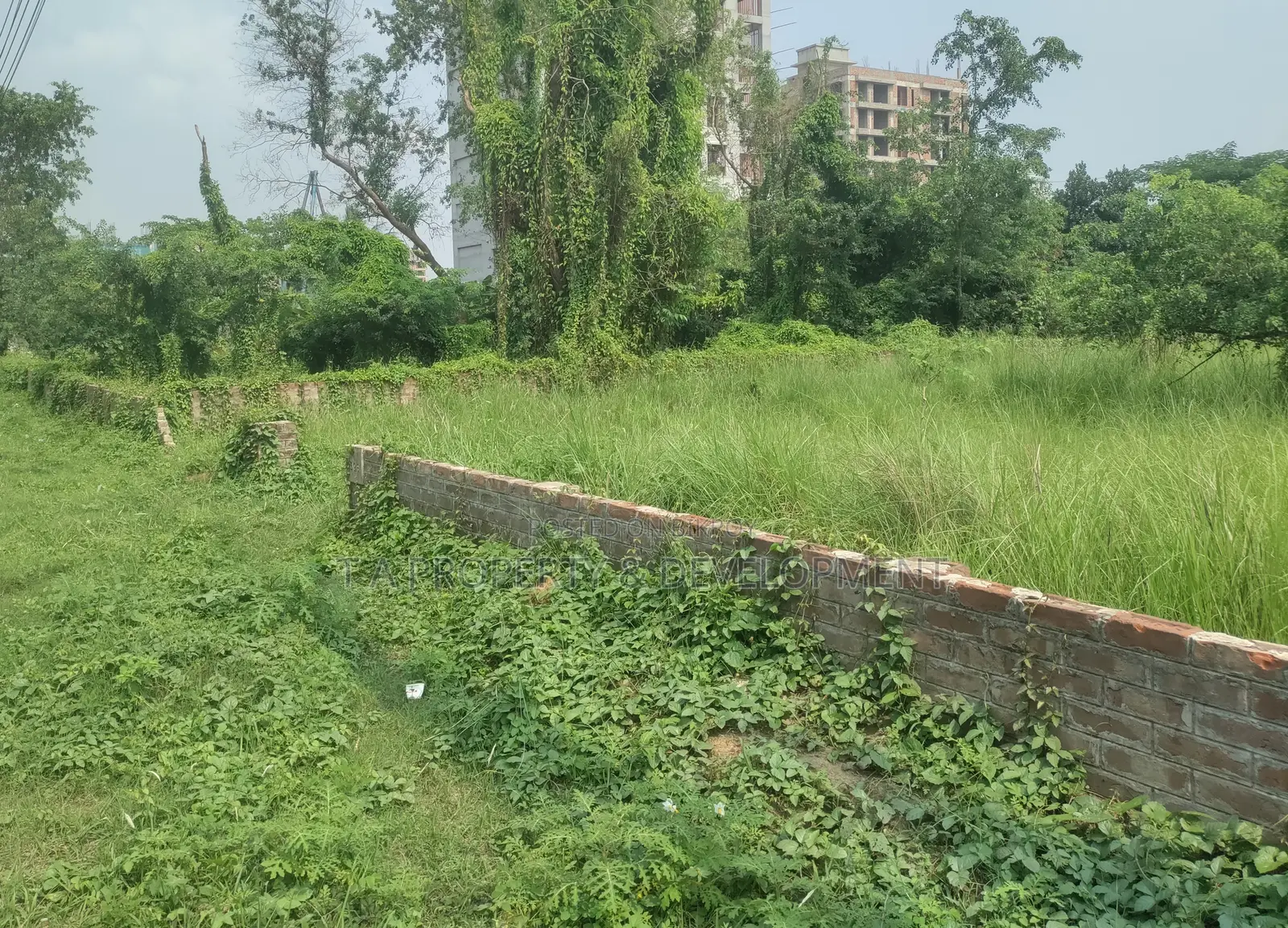 N Block 24 Katha Plot For Sale, 2 Side Road South North Facing