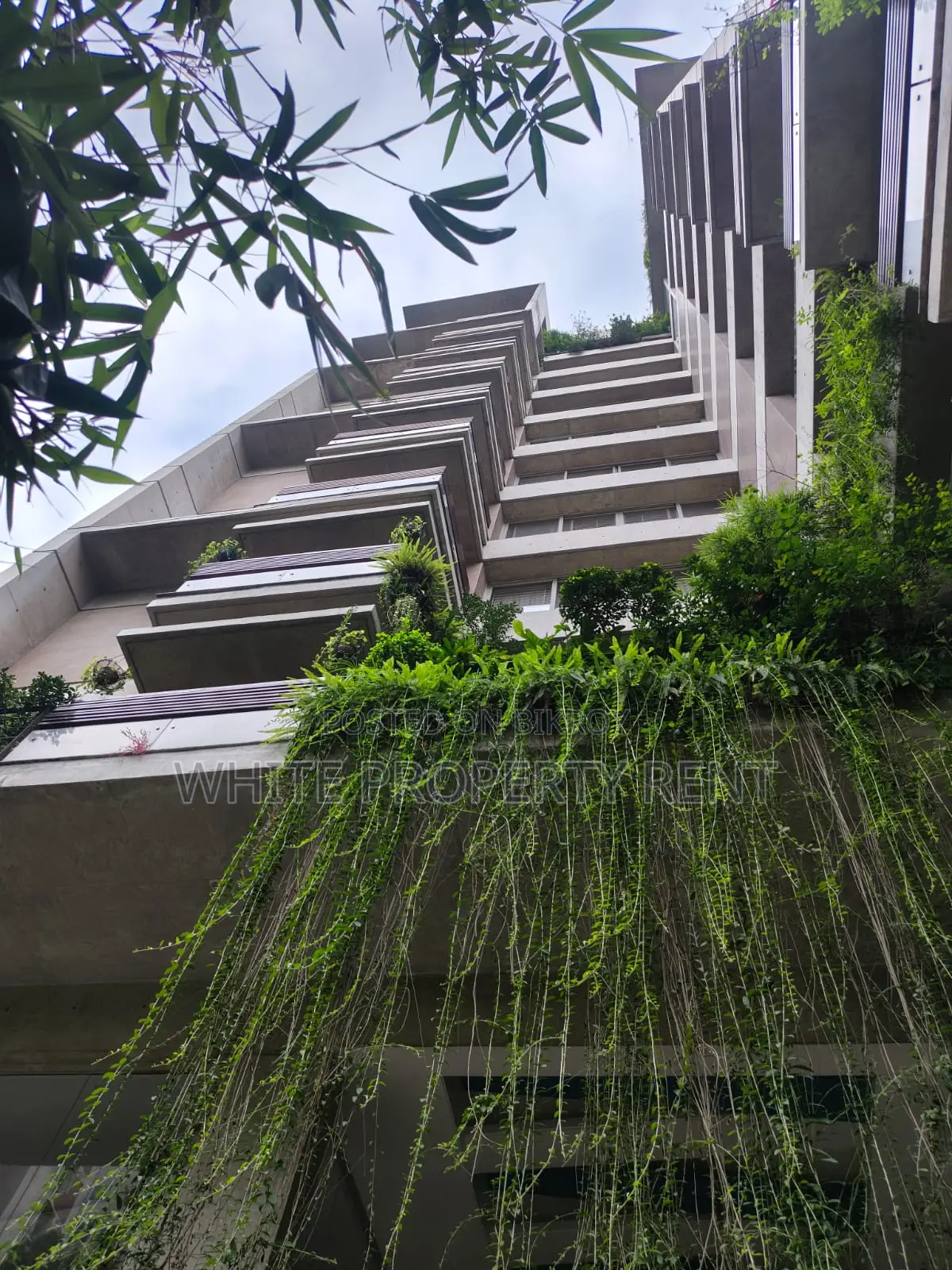 Furnished 4-bedroom Apartment in White Property, Gulshan for Rent