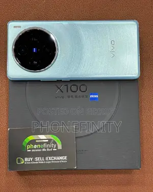 Vivo X100 256 GB Blue