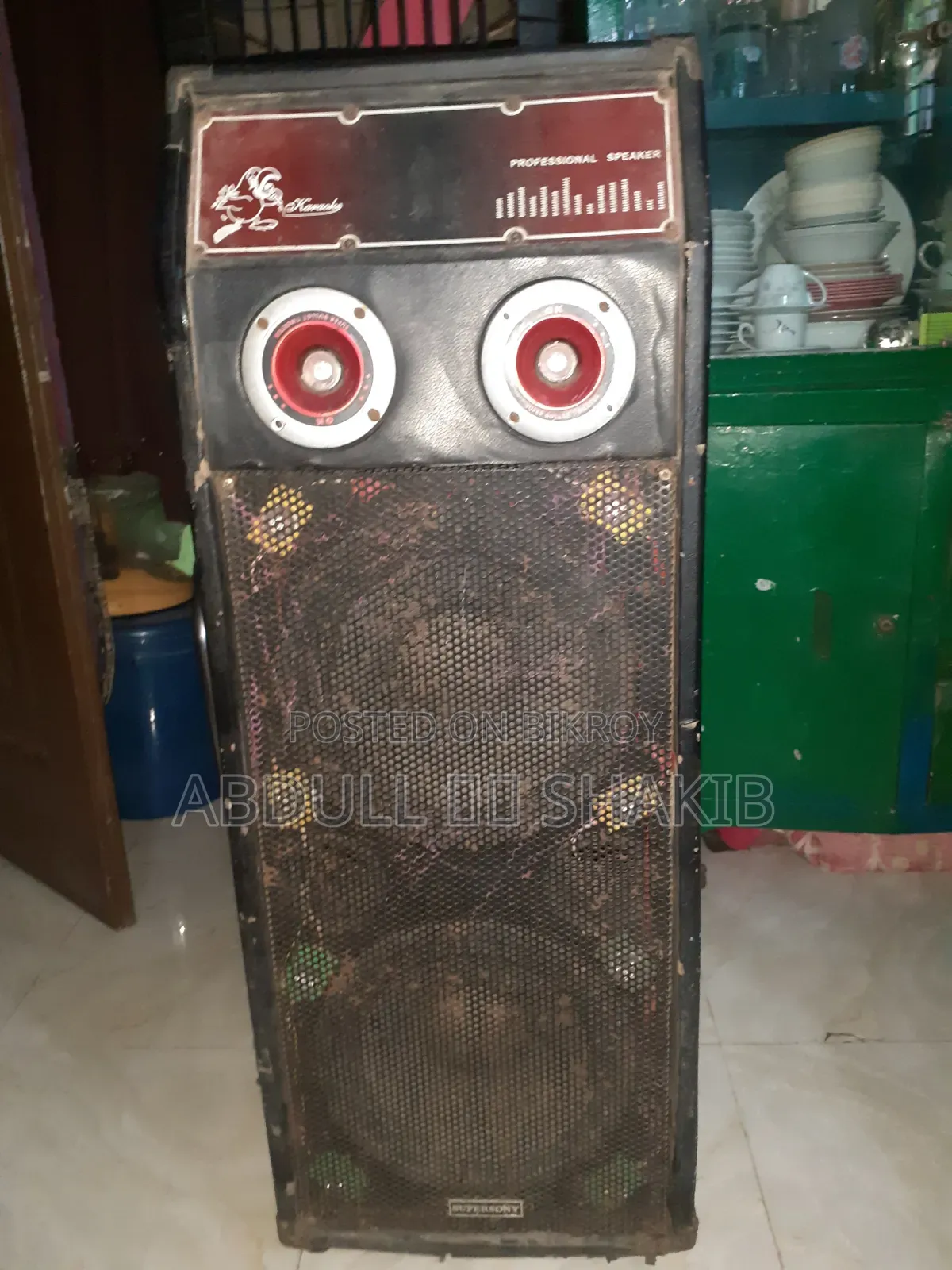 ডাবল স্পিকার