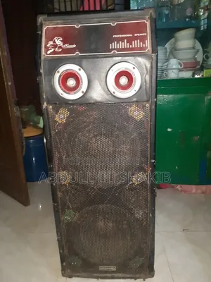 ডাবল স্পিকার