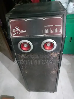 ডাবল স্পিকার