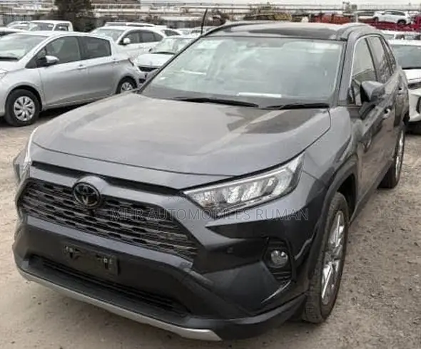 Toyota RAV4 2021 Gray