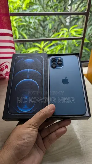 অ্যাপল আইফোন ১২ প্রো ম্যাক্স ১২৮ জিবি ব্লু