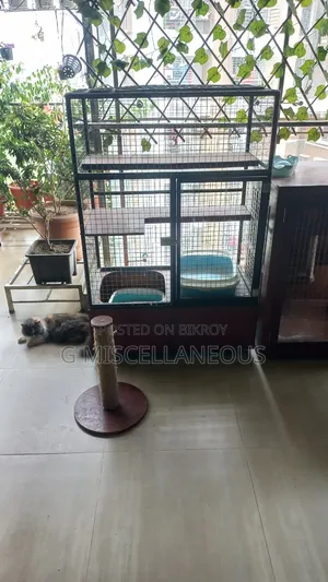 Cat Cage Customised