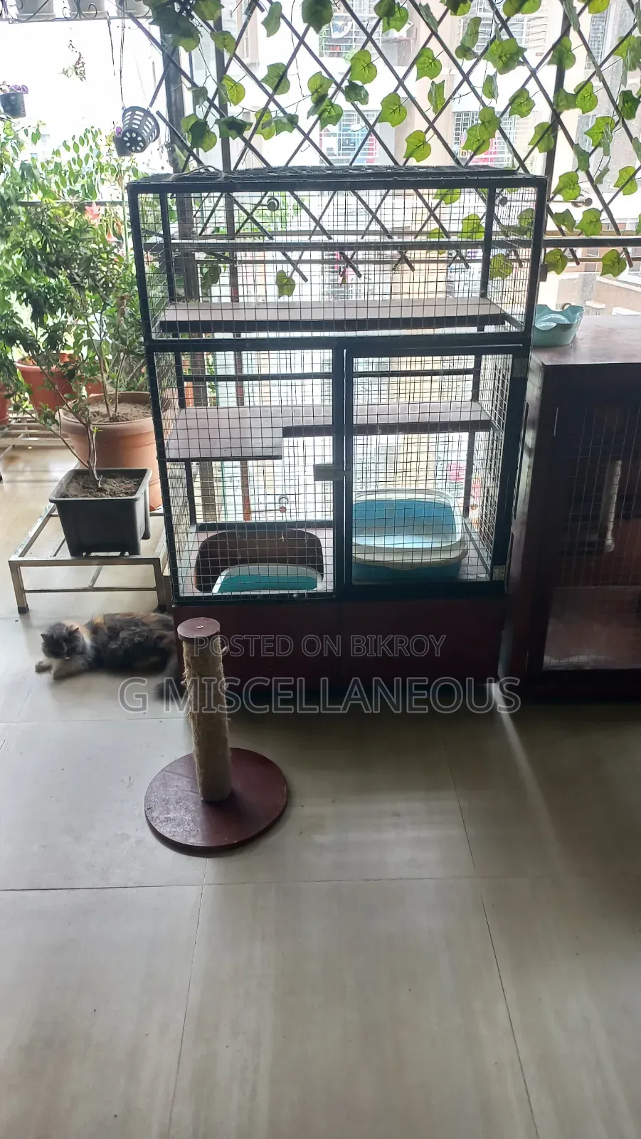 Cat Cage Customised