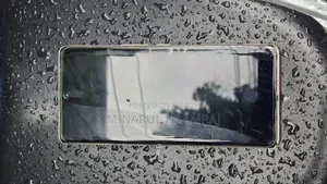 হেলিও ১০০ ২৫৬ জিবি গোল্ড